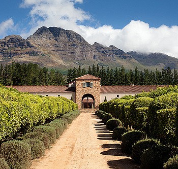 Ernie-els-wine-farm