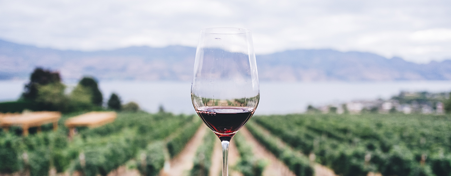 Header-Image-Wine-Tasting Header-Image-Wine-Tasting